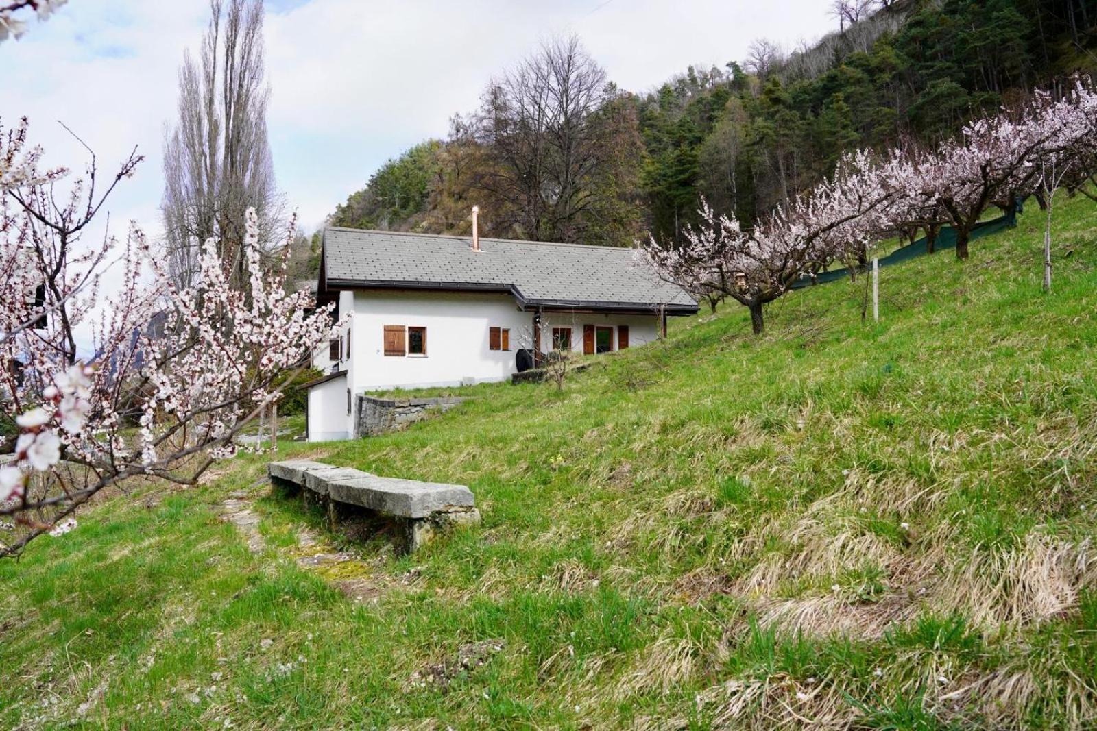 Maisonnette De Campagne Sion Dış mekan fotoğraf